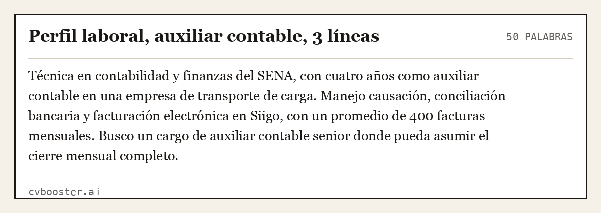 Ejemplo completo: Perfil laboral, auxiliar contable, 3 líneas, 50 palabras