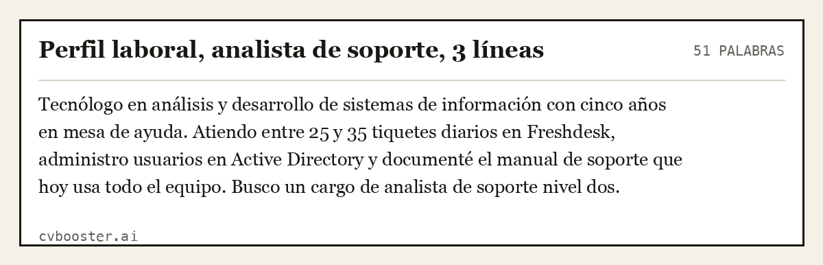 Ejemplo completo: Perfil laboral, analista de soporte, 3 líneas, 51 palabras