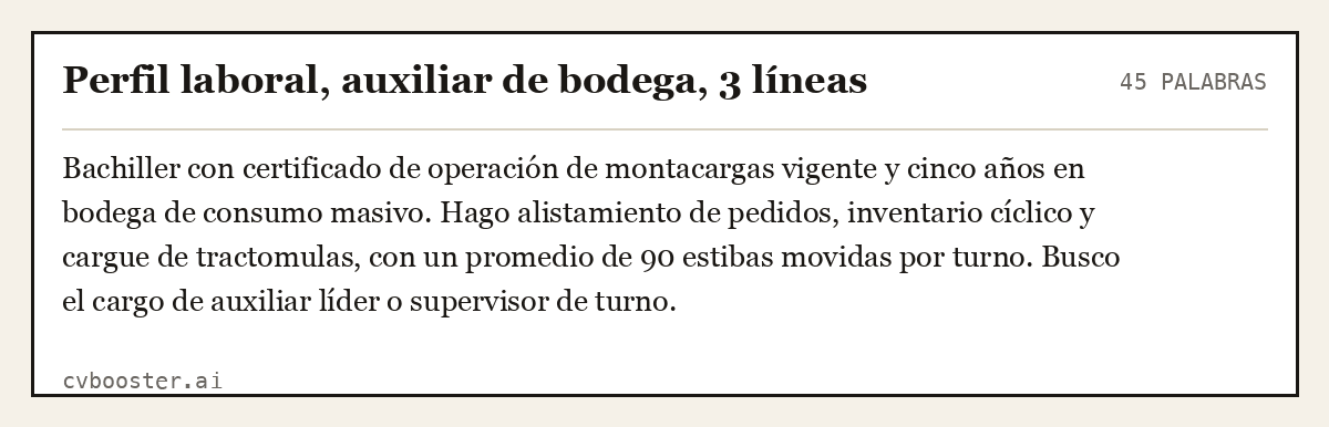 Ejemplo completo: Perfil laboral, auxiliar de bodega, 3 líneas, 45 palabras