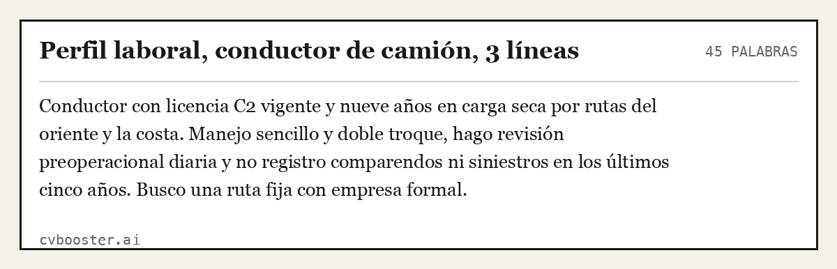 Ejemplo completo: Perfil laboral, conductor de camión, 3 líneas, 45 palabras