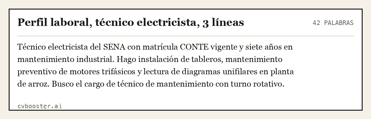 Ejemplo completo: Perfil laboral, técnico electricista, 3 líneas, 42 palabras