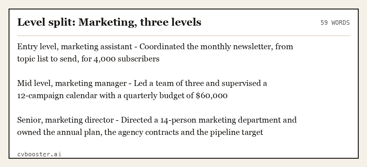 Complete Level split: Marketing, three levels example, 59 words, laid out as it would sit in the application form