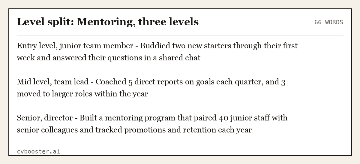 Complete Level split: Mentoring, three levels example, 66 words, laid out as it would sit in the application form