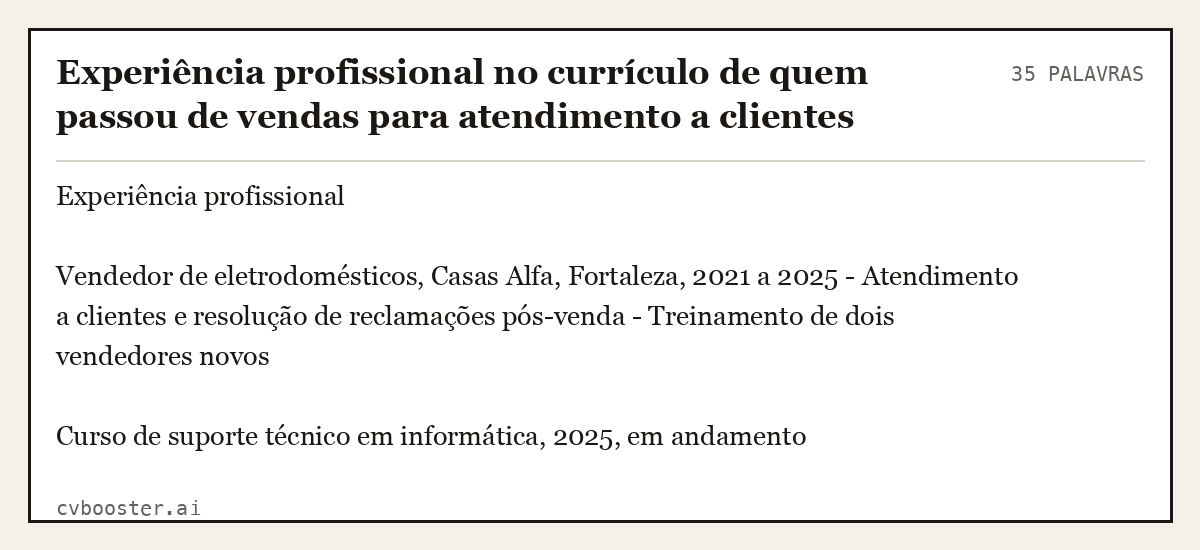 Exemplo completo: Experiência profissional no currículo de quem passou de vendas para atendimento a clientes de tecnologia, 35 palavras