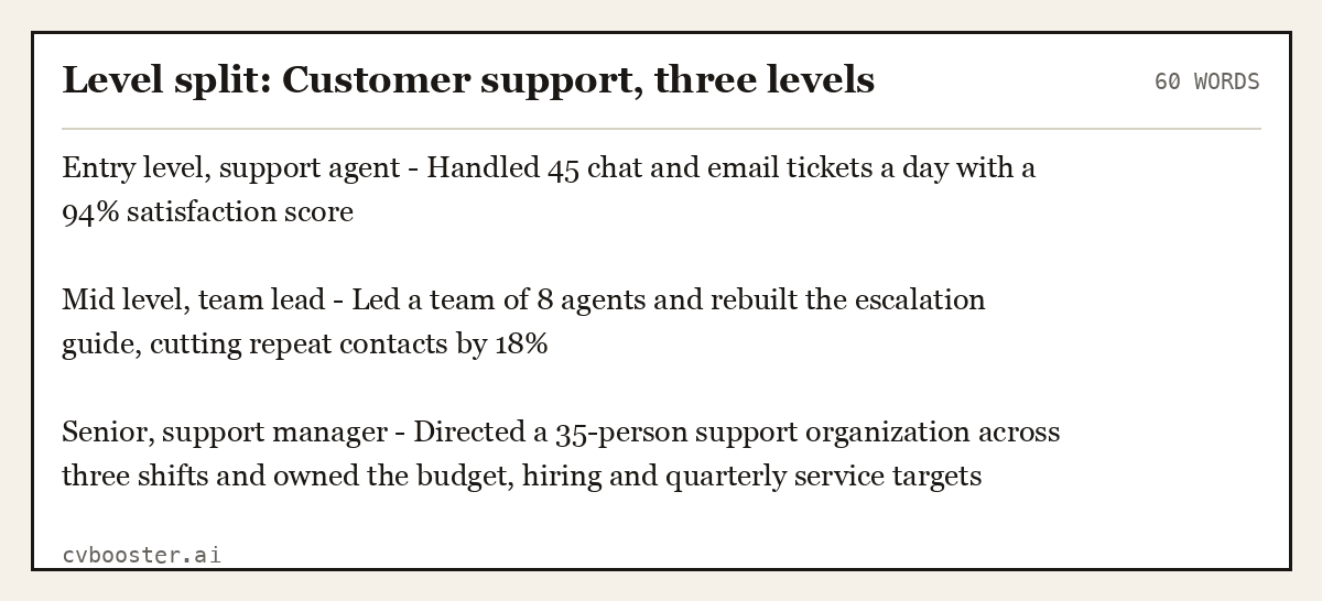Complete Level split: Customer support, three levels example, 60 words, laid out as it would sit in the application form