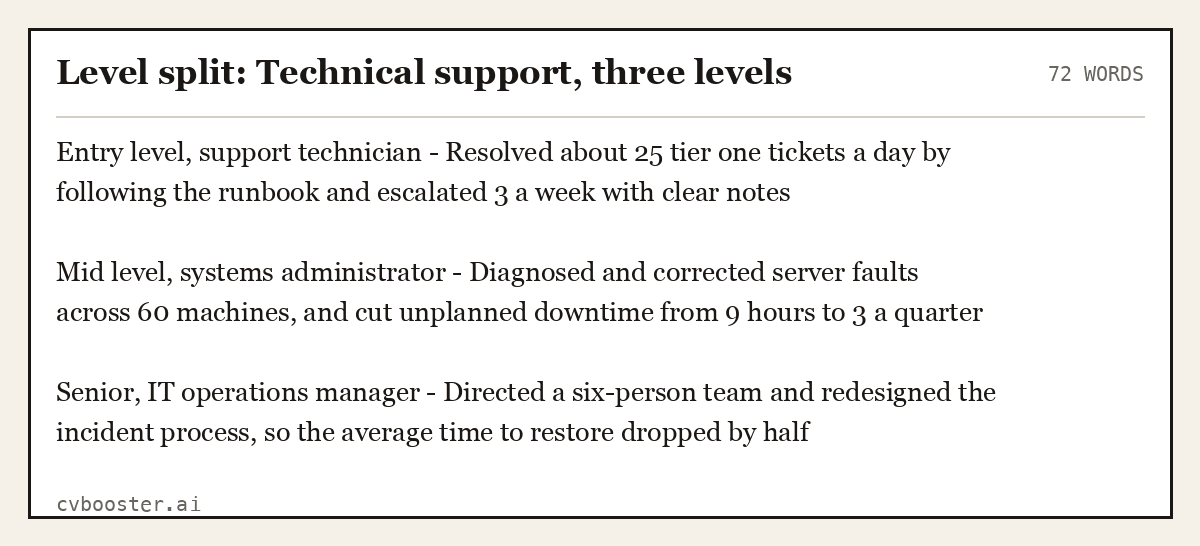 Complete Level split: Technical support, three levels example, 72 words, laid out as it would sit in the application form