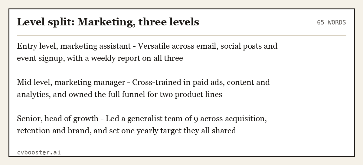Complete Level split: Marketing, three levels example, 65 words, laid out as it would sit in the application form