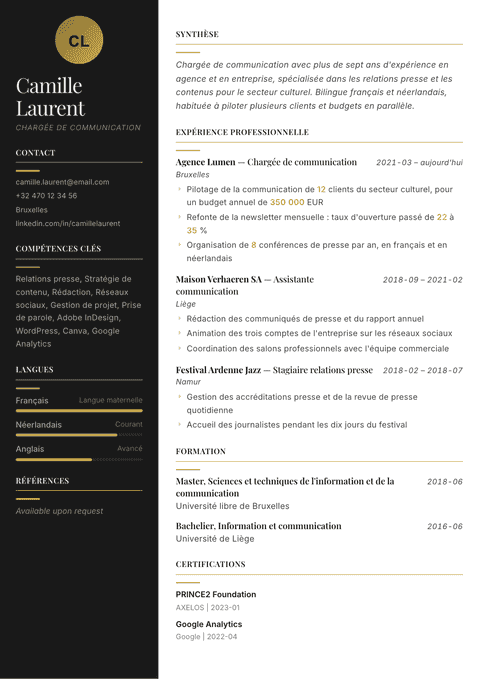 Modèle de CV Ink & Gold
